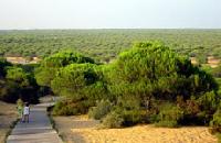 Las mejores ofertas de Mirador de Doñana Almonte